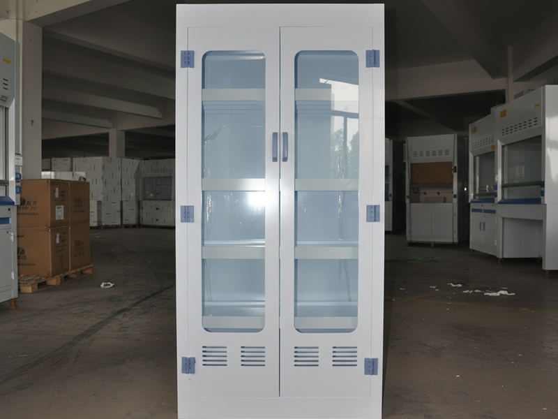 1768978565181521.jpg Laboratory Glassware Cabinet Moscow