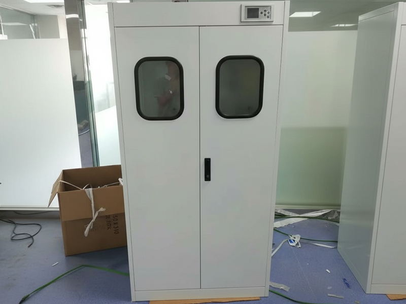 HJSLab gas cylinder cabinet